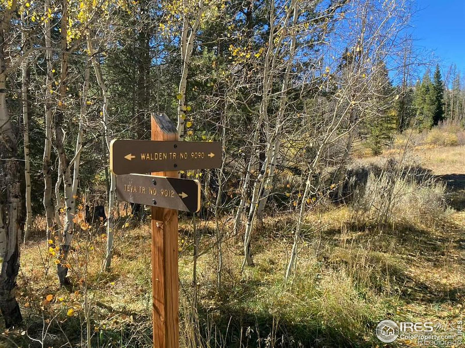 MLS Image #35 for 8500  ryan gulch road,silverthorne, Colorado