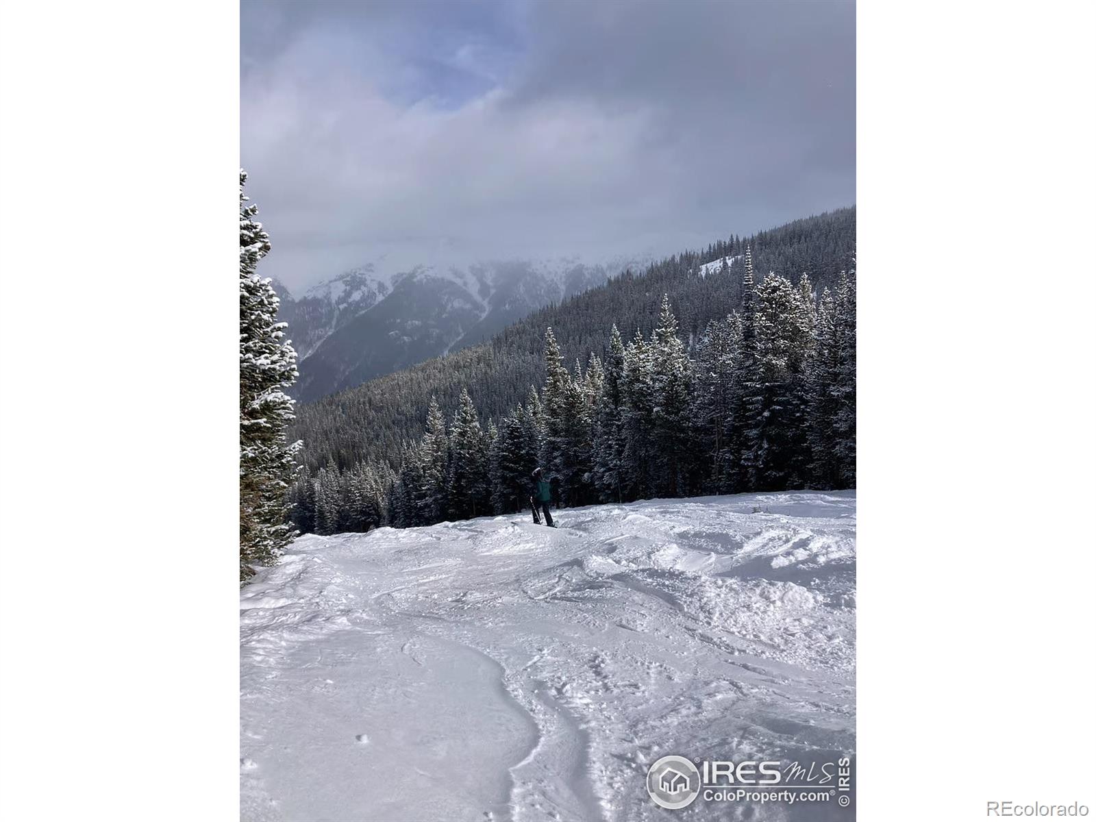 MLS Image #40 for 8500  ryan gulch road,silverthorne, Colorado