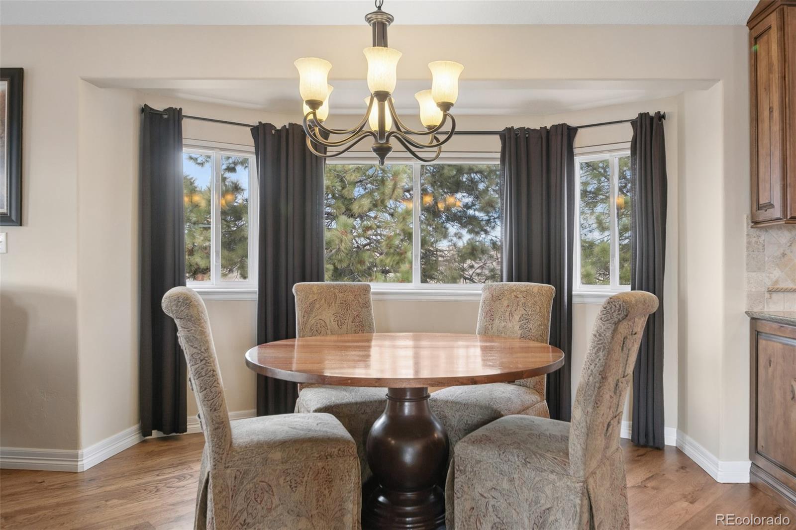 MLS Image #17 for 6795 e lookout drive,parker, Colorado