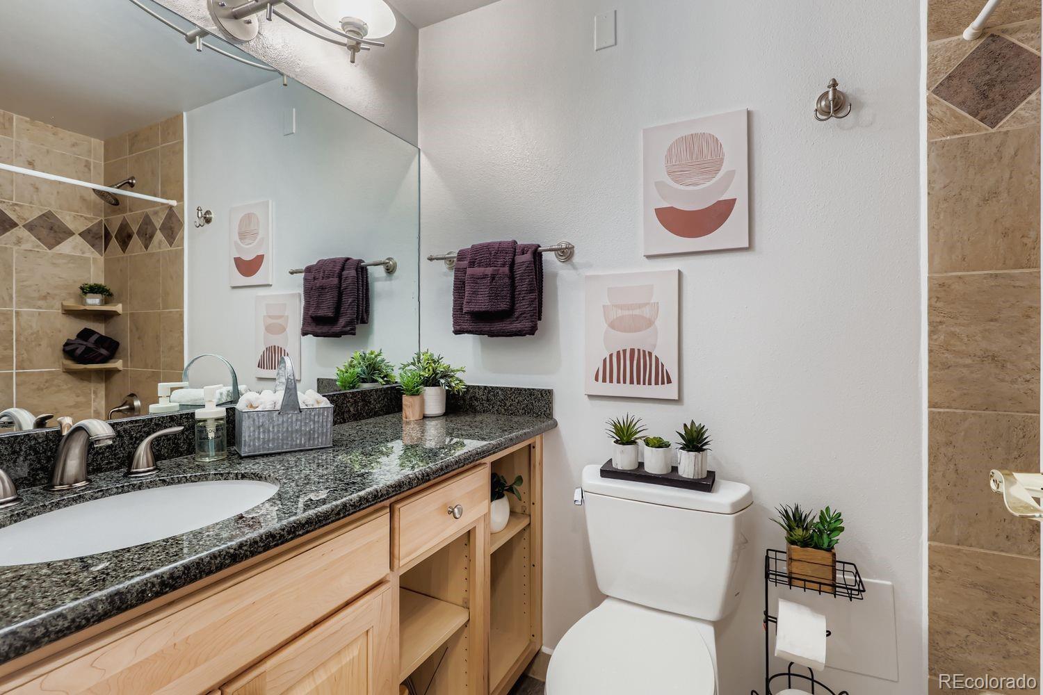 MLS Image #12 for 1625  larimer street 1007,denver, Colorado