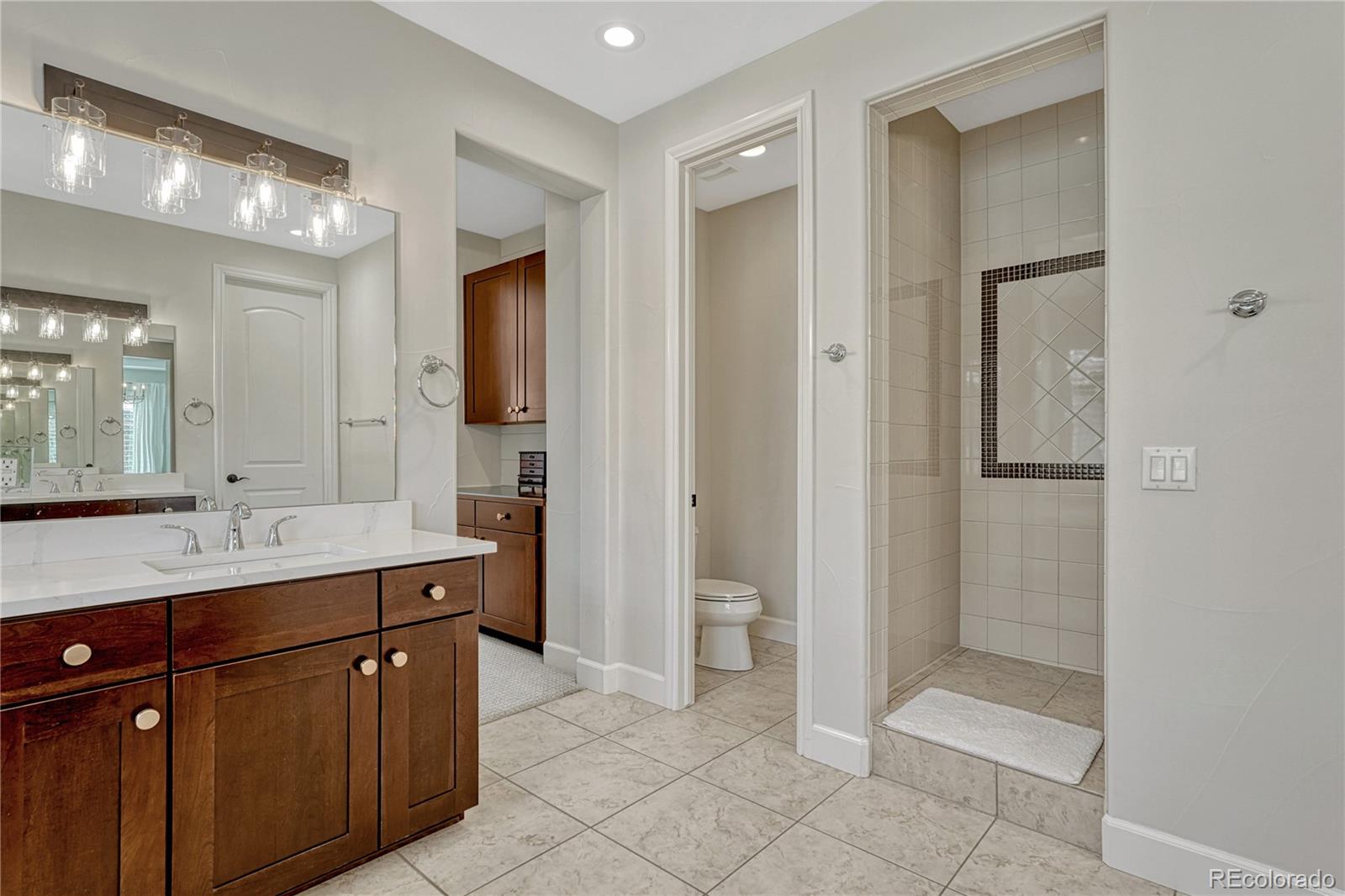 MLS Image #22 for 10482  marigold court,highlands ranch, Colorado