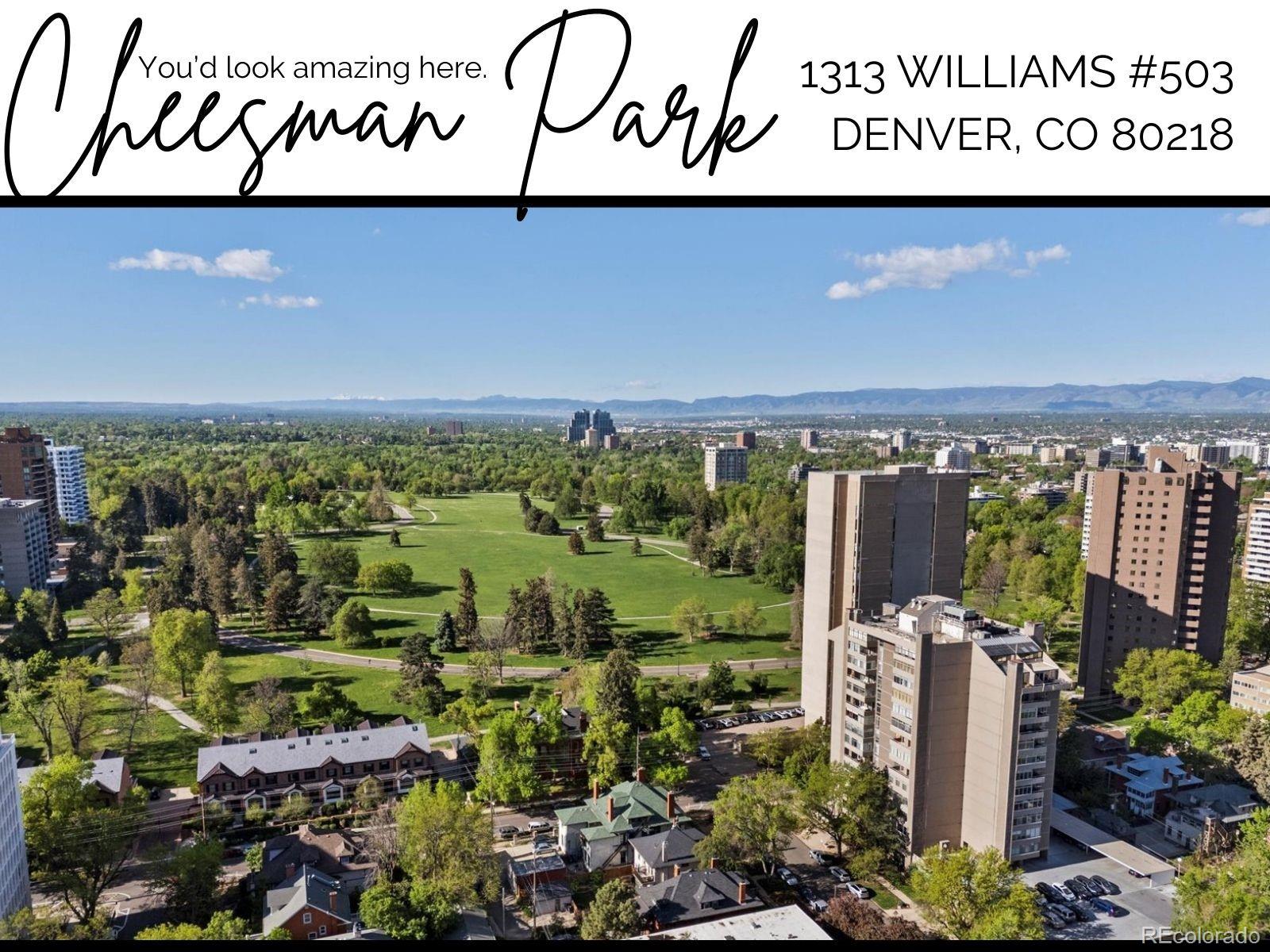 MLS Image #1 for 1313 n williams street,denver, Colorado