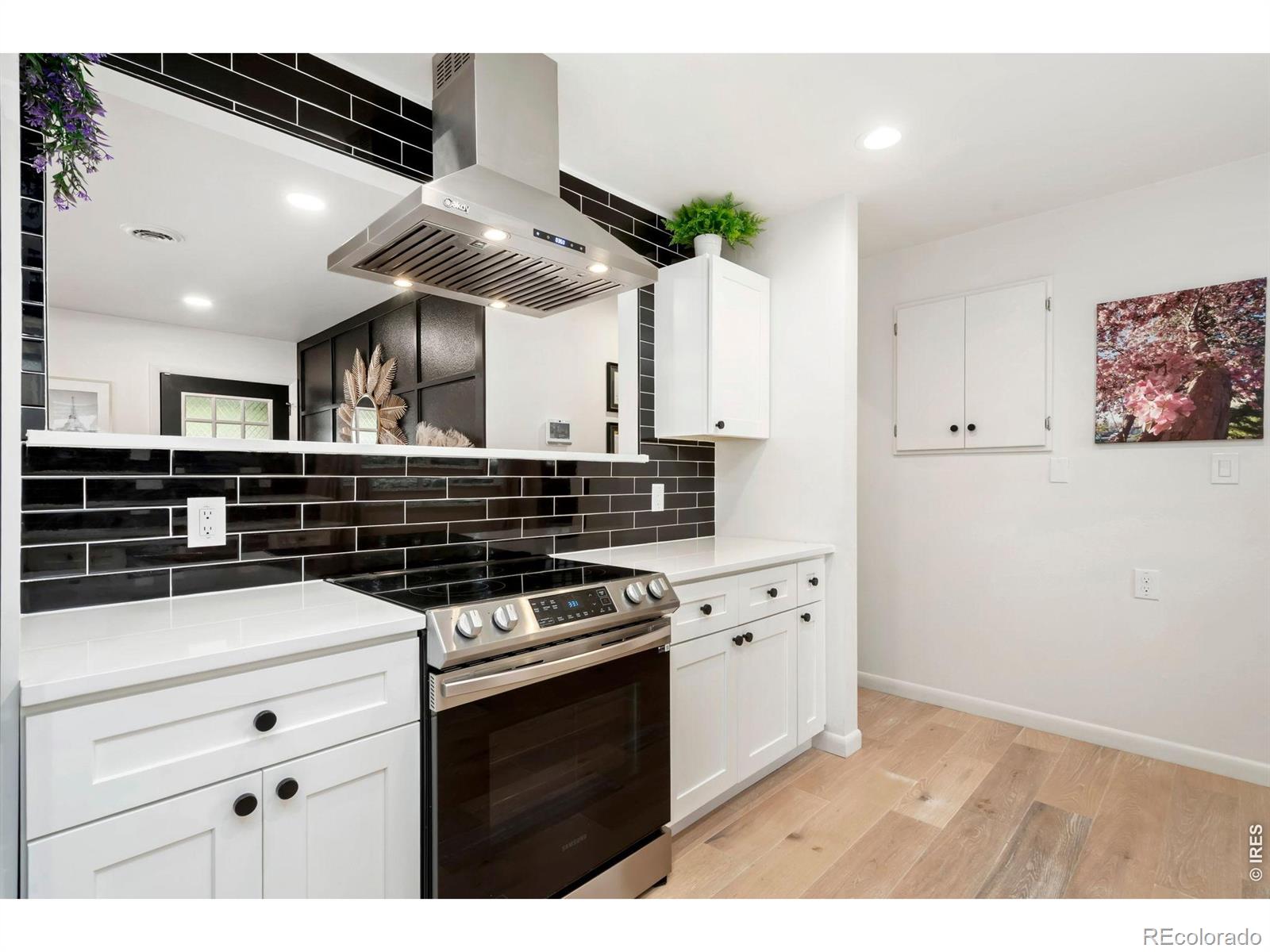 MLS Image #12 for 1308  robertson street,fort collins, Colorado