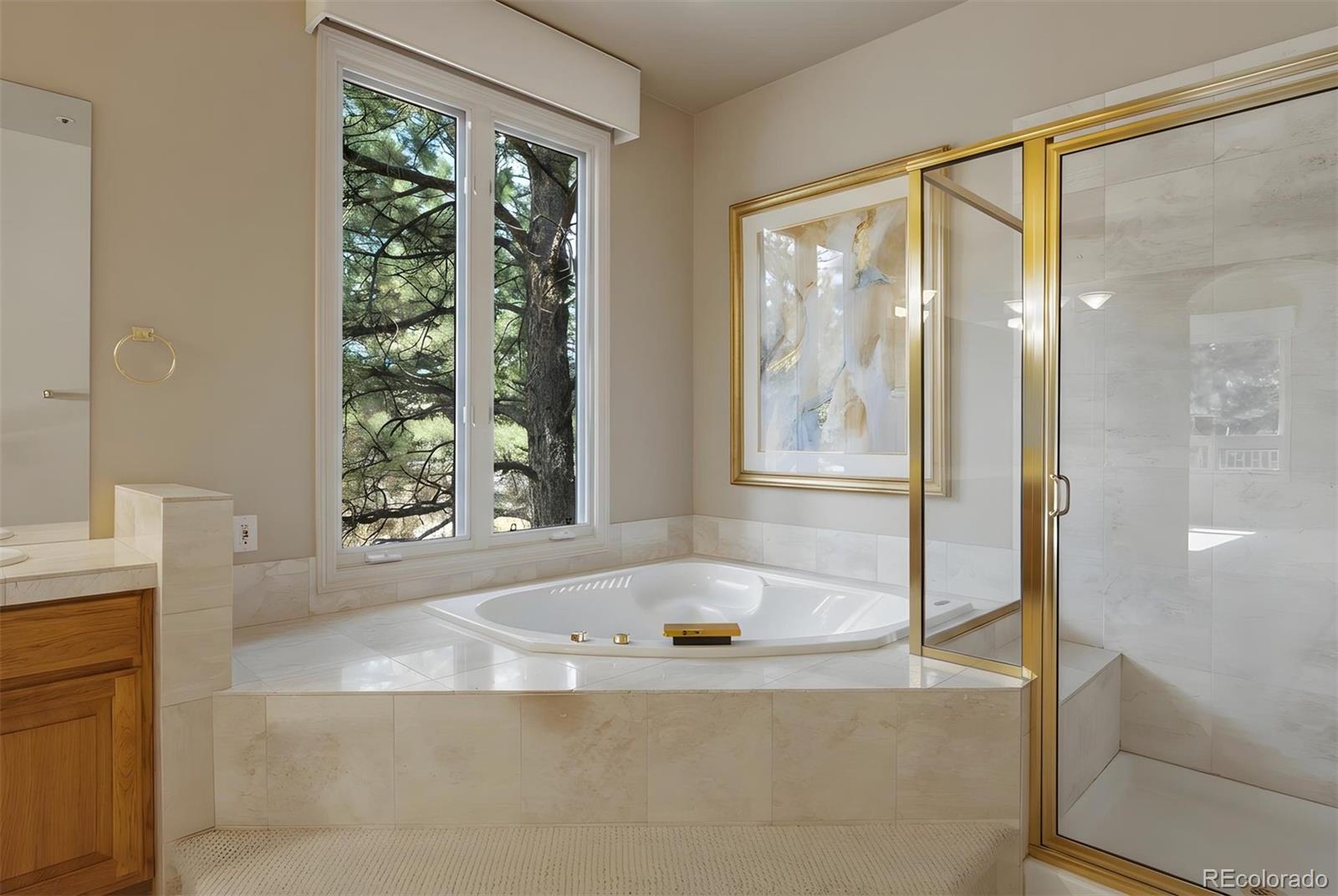 MLS Image #13 for 3202  country club parkway,castle rock, Colorado