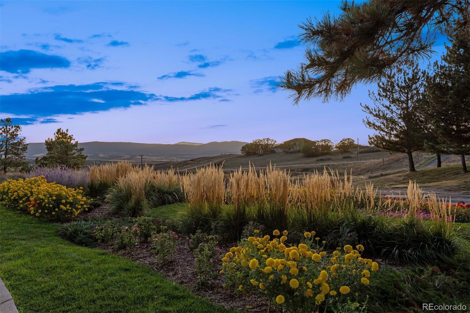 MLS Image #23 for 3202  country club parkway,castle rock, Colorado