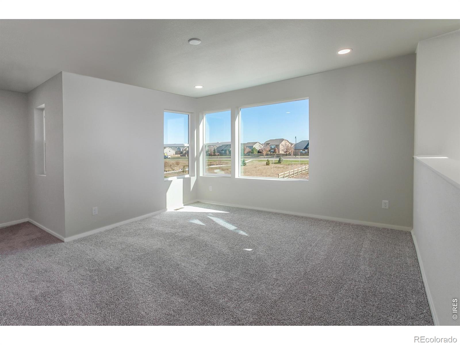 MLS Image #19 for 5409  yancy street,timnath, Colorado