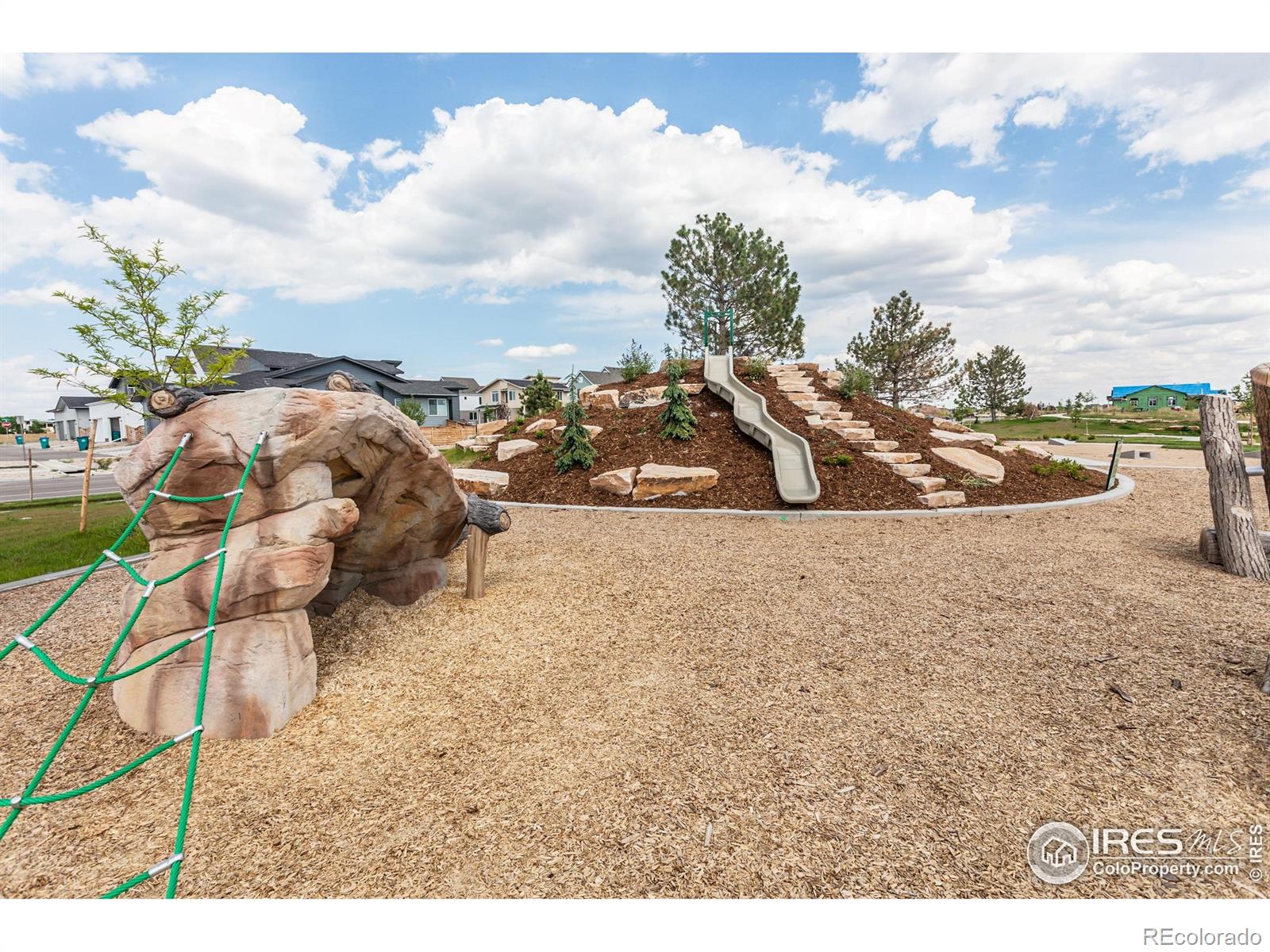 MLS Image #43 for 6117  saddle horn drive,timnath, Colorado