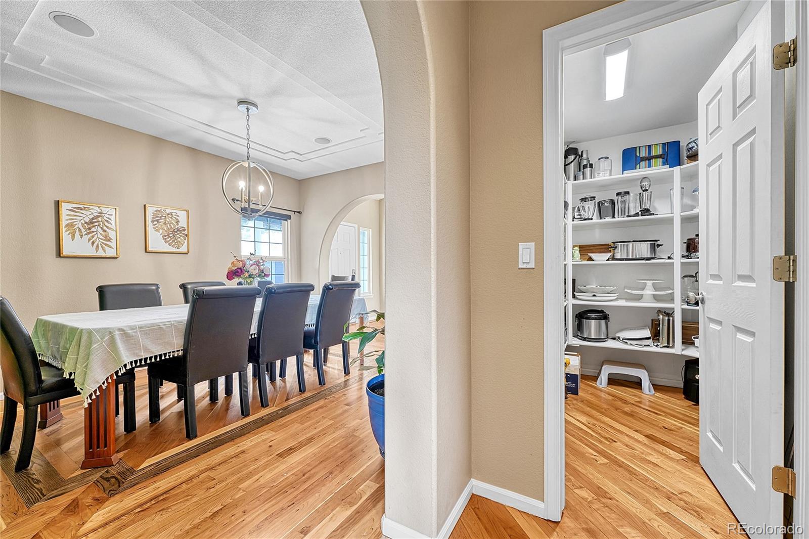 MLS Image #10 for 10233  greatwood court,highlands ranch, Colorado