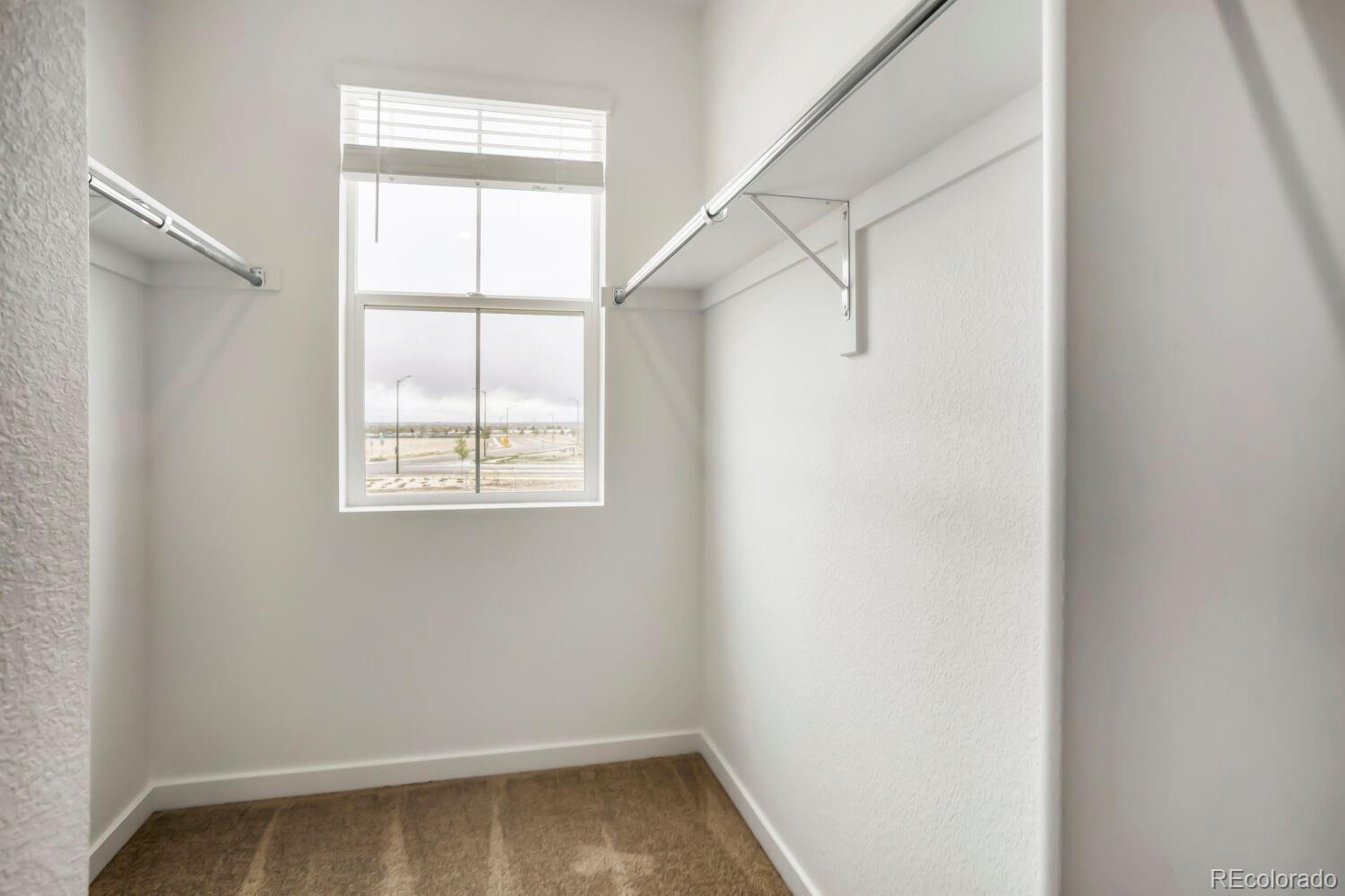 MLS Image #13 for 3067  gladstone avenue,loveland, Colorado