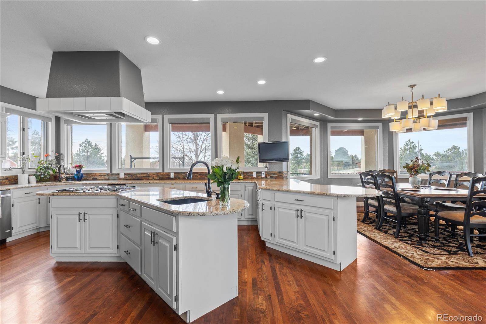 MLS Image #10 for 8888  inspiration drive,parker, Colorado