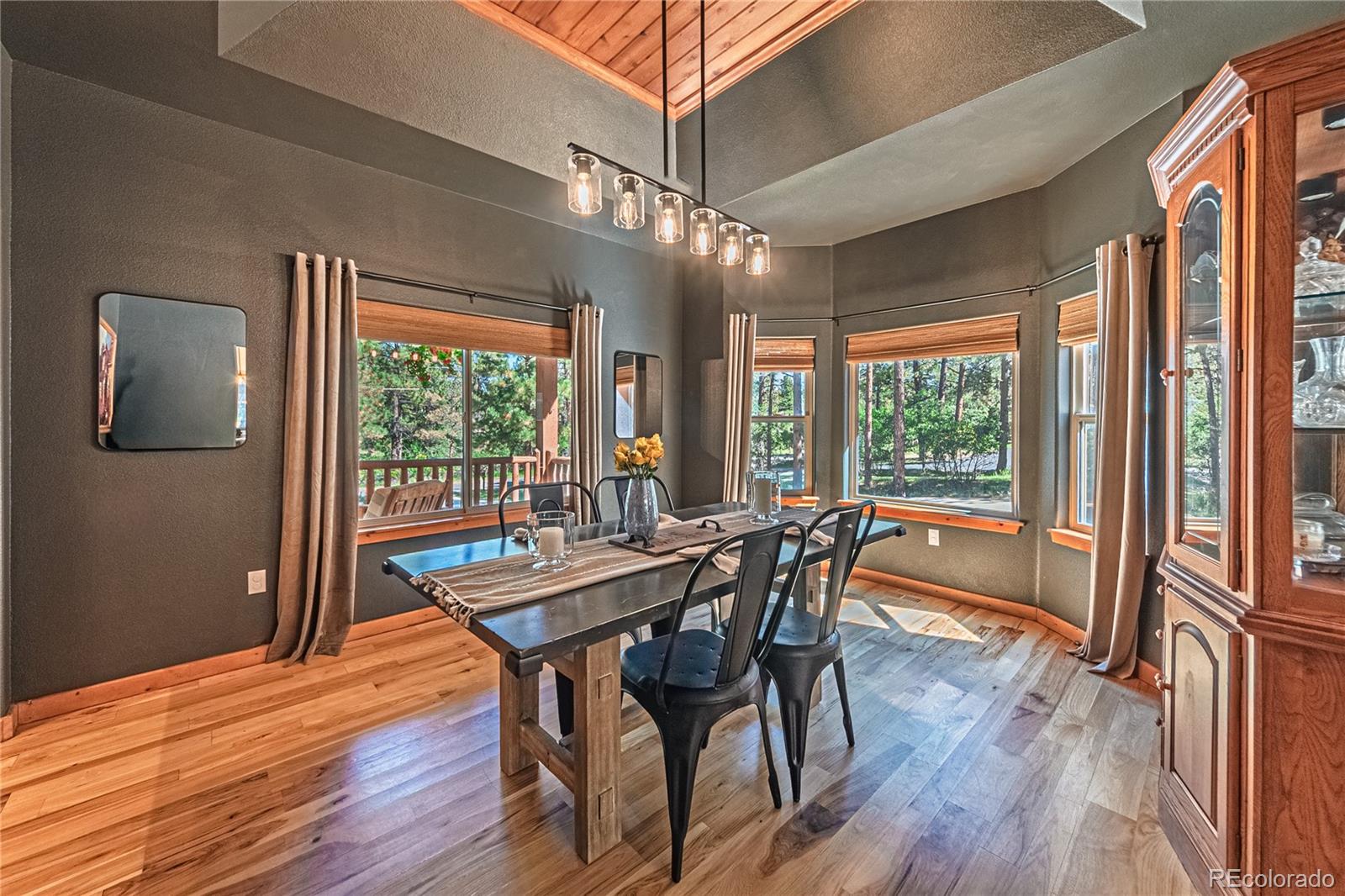 MLS Image #11 for 1210  kenosha drive,larkspur, Colorado