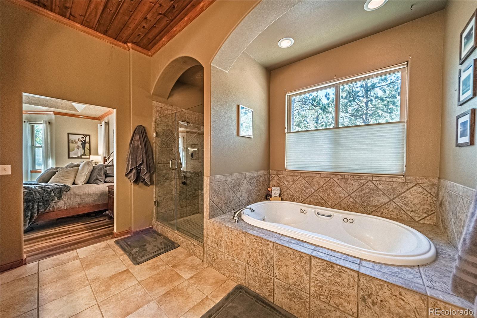 MLS Image #39 for 1210  kenosha drive,larkspur, Colorado
