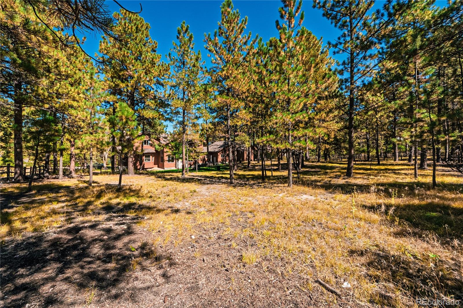 MLS Image #45 for 1210  kenosha drive,larkspur, Colorado