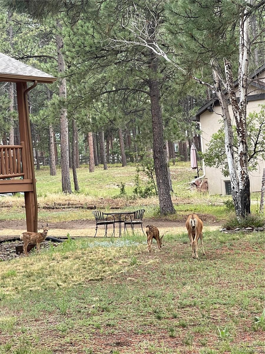 MLS Image #46 for 1210  kenosha drive,larkspur, Colorado