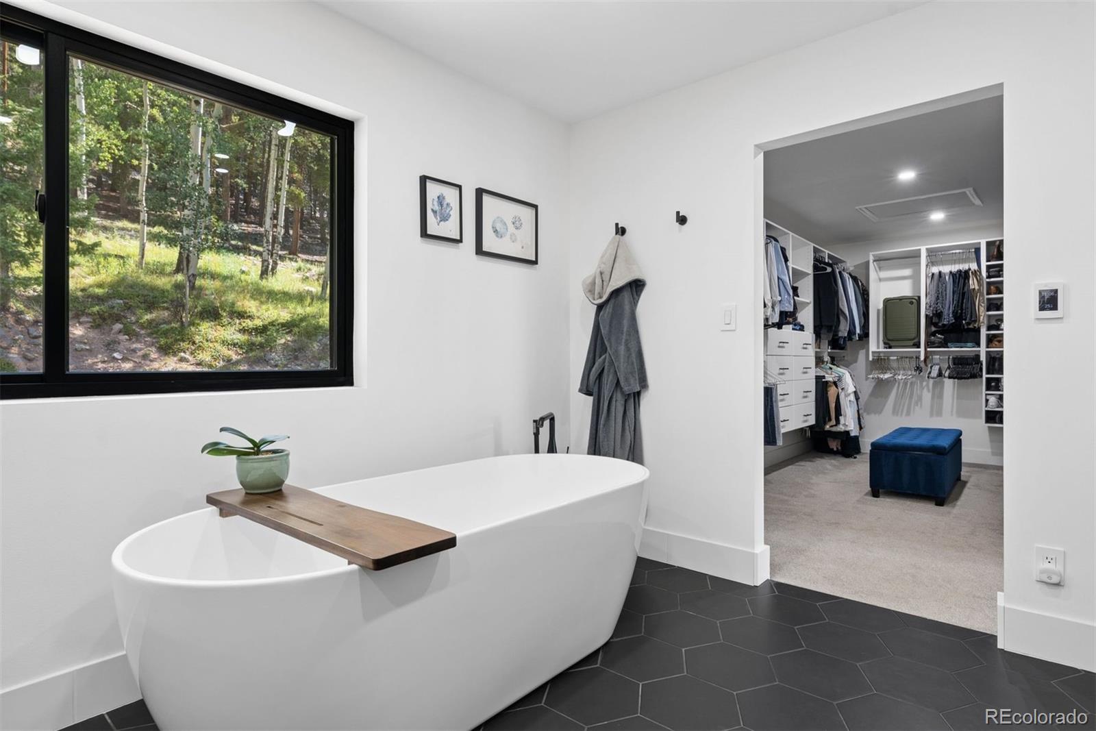 MLS Image #15 for 11102  conifer mountain road,conifer, Colorado