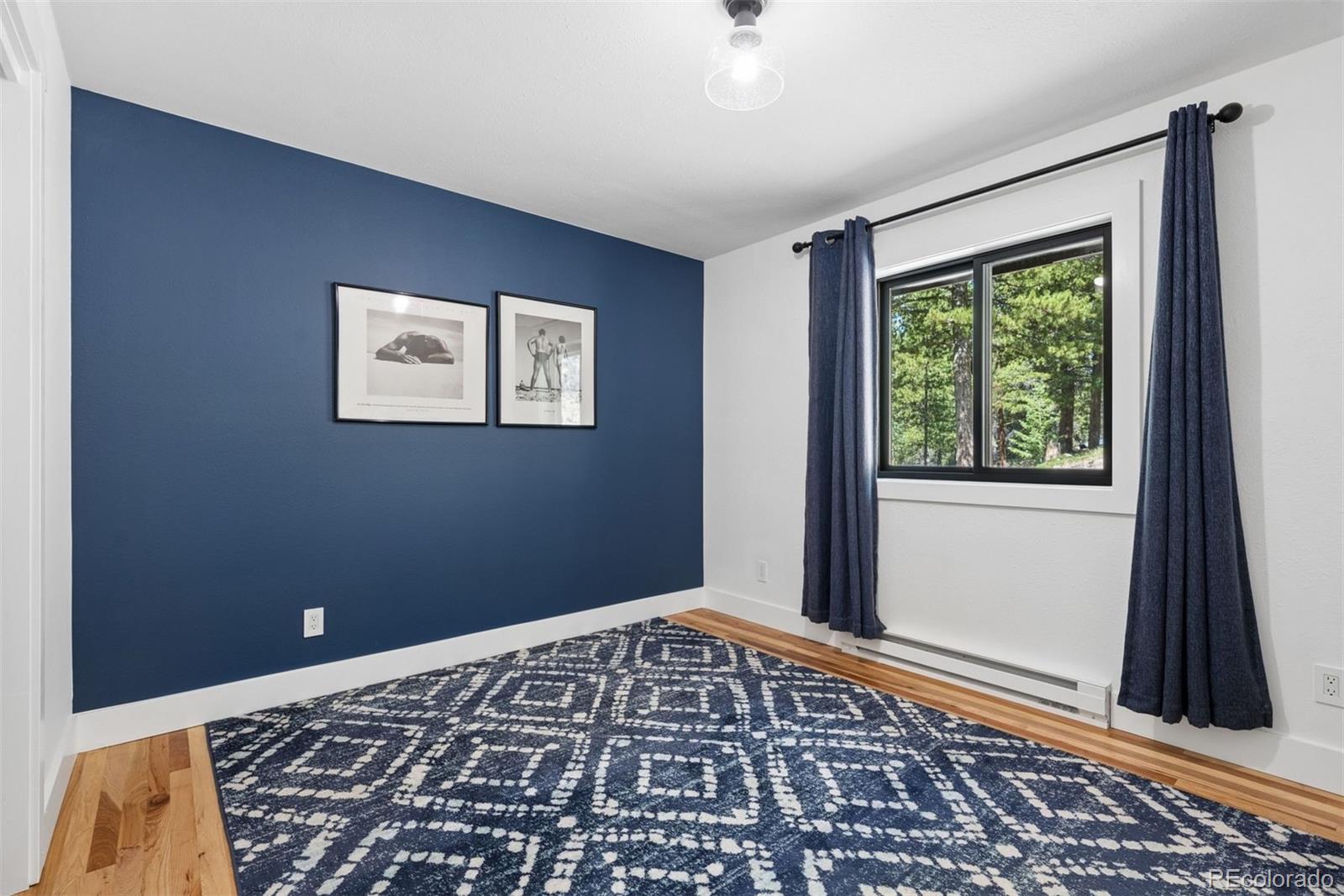 MLS Image #19 for 11102  conifer mountain road,conifer, Colorado