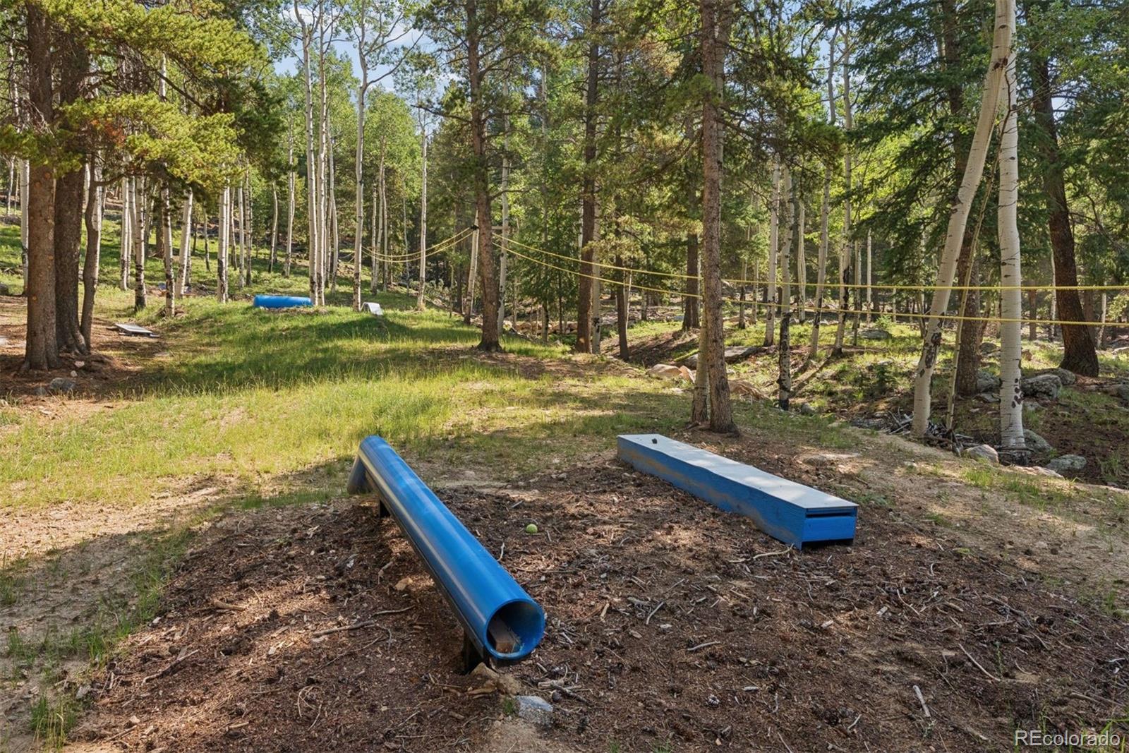 MLS Image #33 for 11102  conifer mountain road,conifer, Colorado
