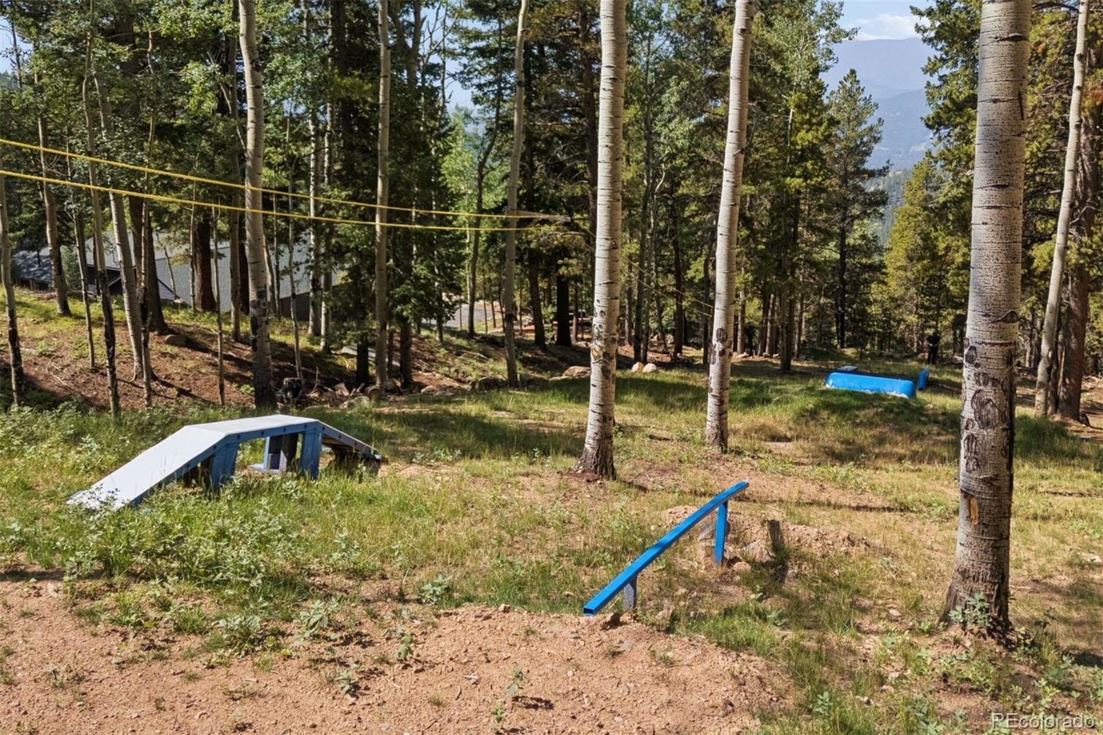 MLS Image #36 for 11102  conifer mountain road,conifer, Colorado