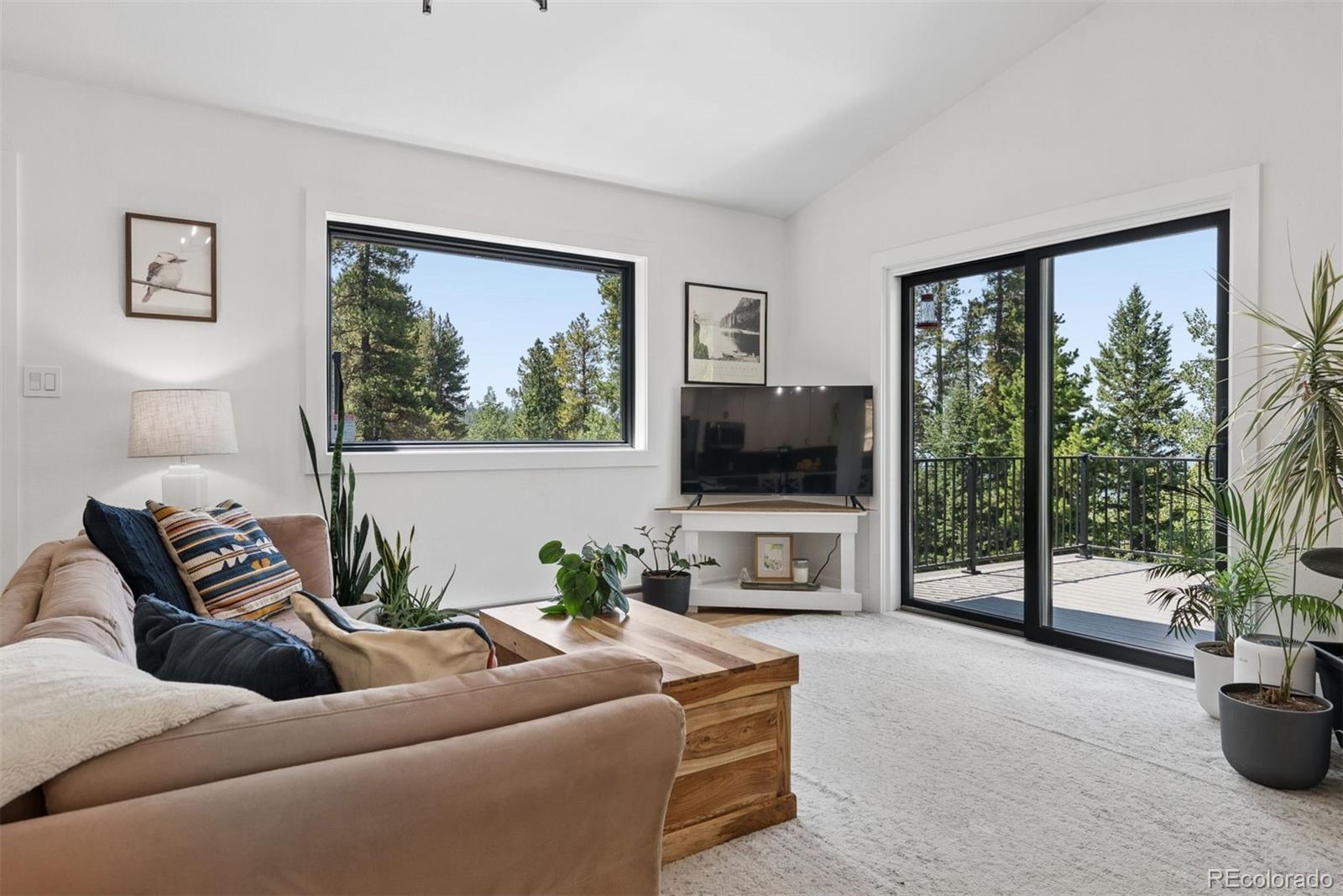 MLS Image #4 for 11102  conifer mountain road,conifer, Colorado