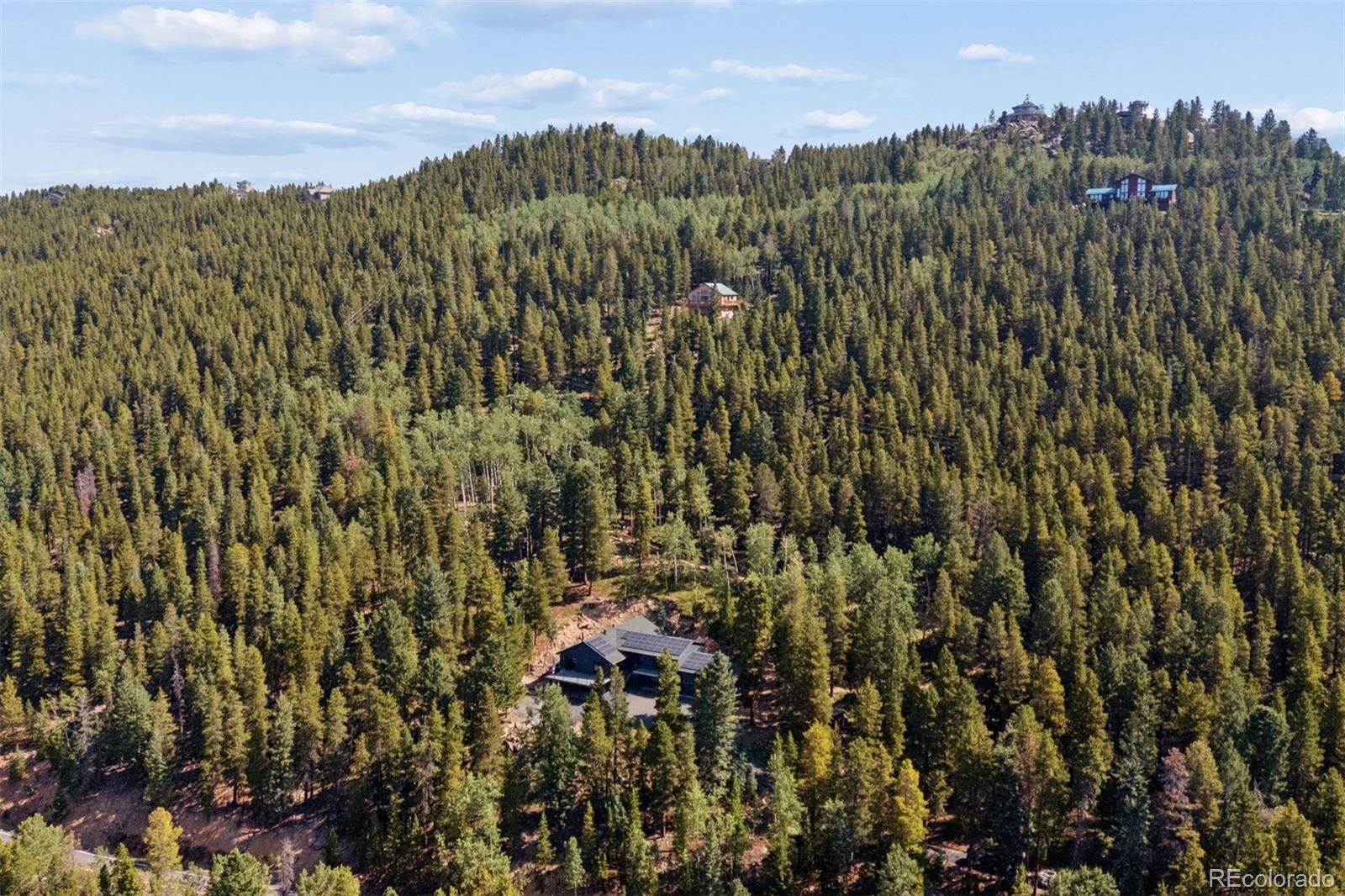 MLS Image #44 for 11102  conifer mountain road,conifer, Colorado