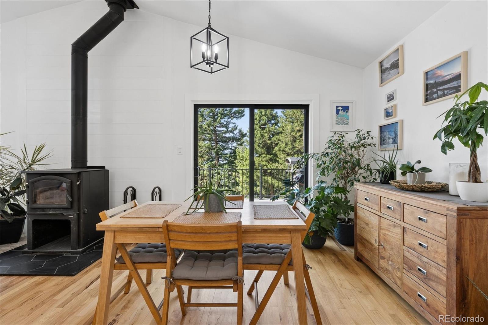 MLS Image #8 for 11102  conifer mountain road,conifer, Colorado