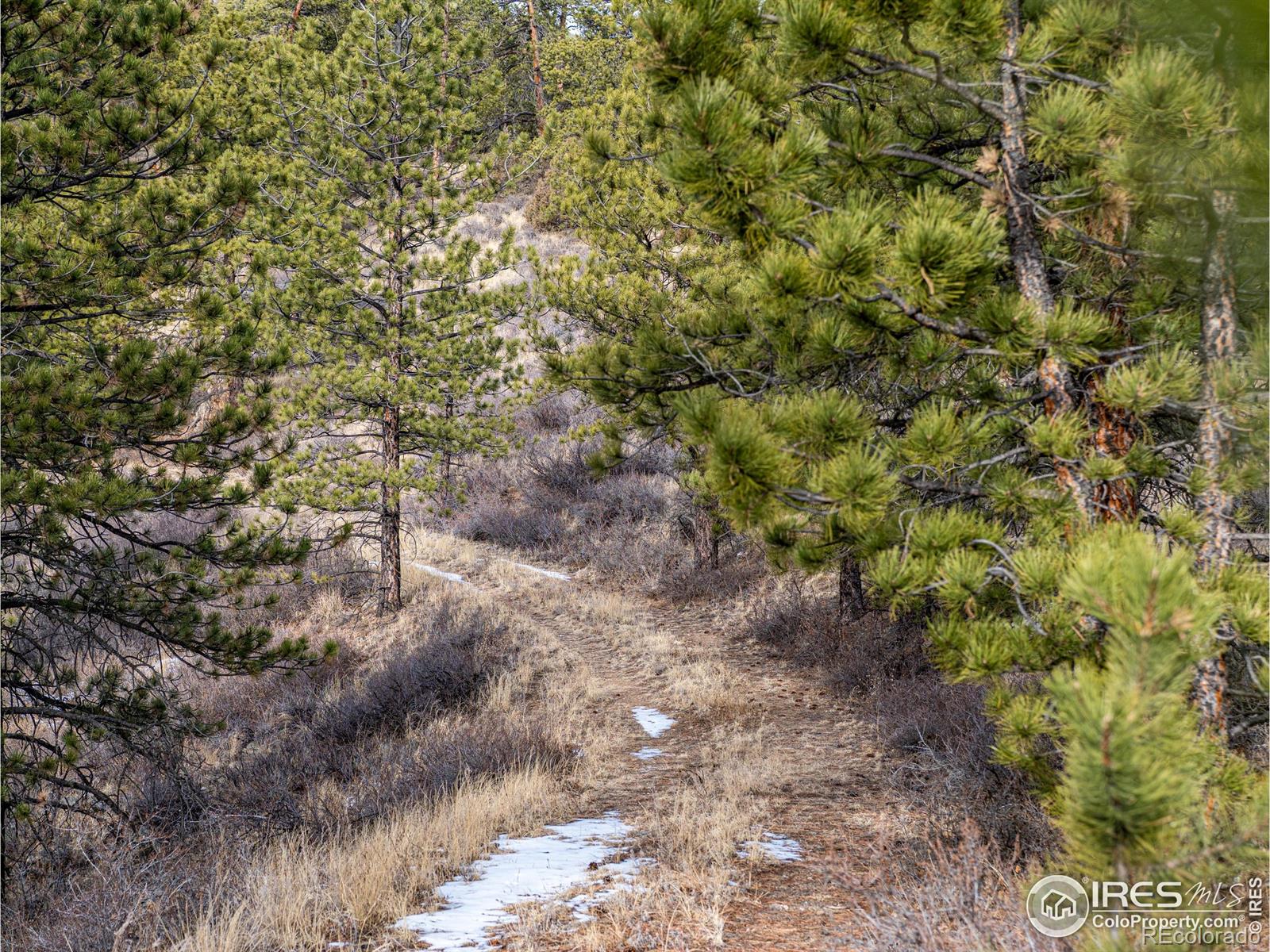 MLS Image #14 for 2127  us highway 34 ,drake, Colorado