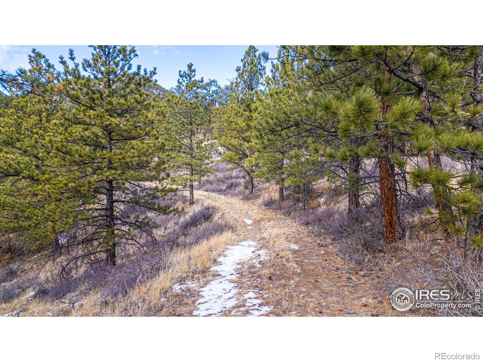 MLS Image #17 for 2127  us highway 34 ,drake, Colorado