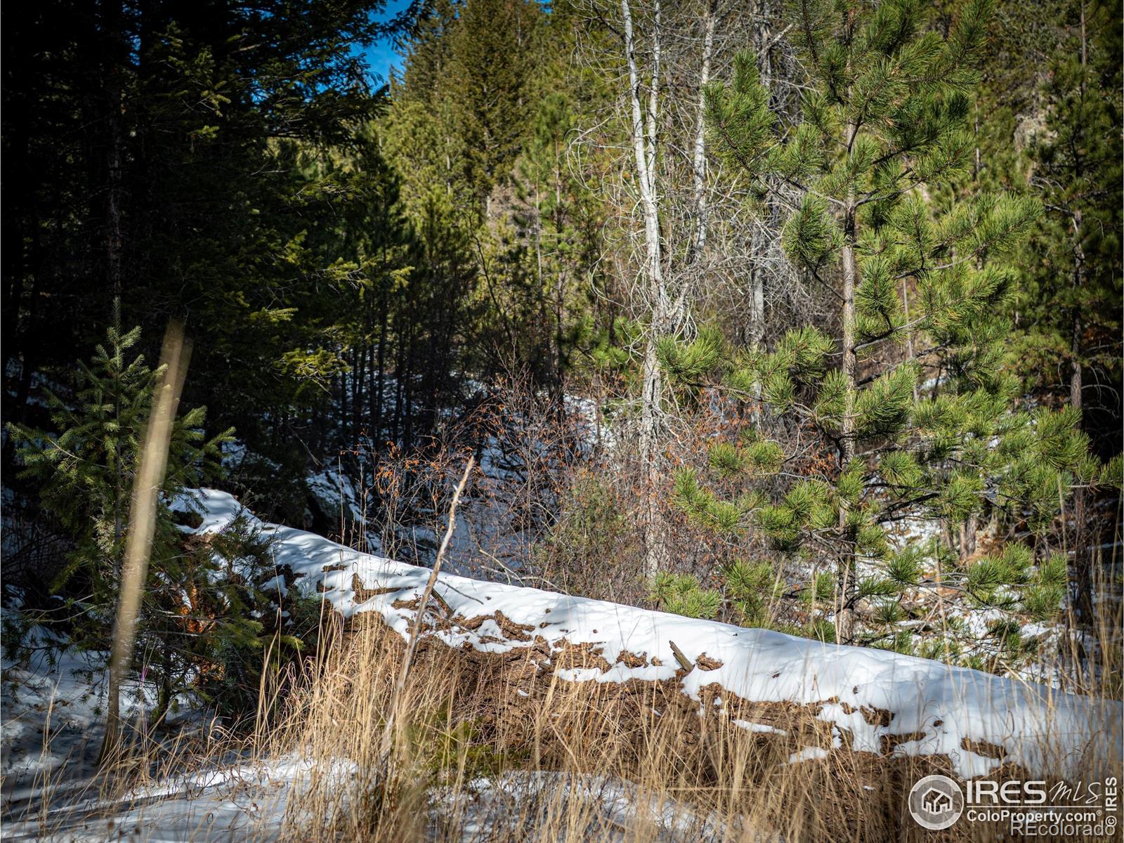 MLS Image #24 for 2127  us highway 34 ,drake, Colorado