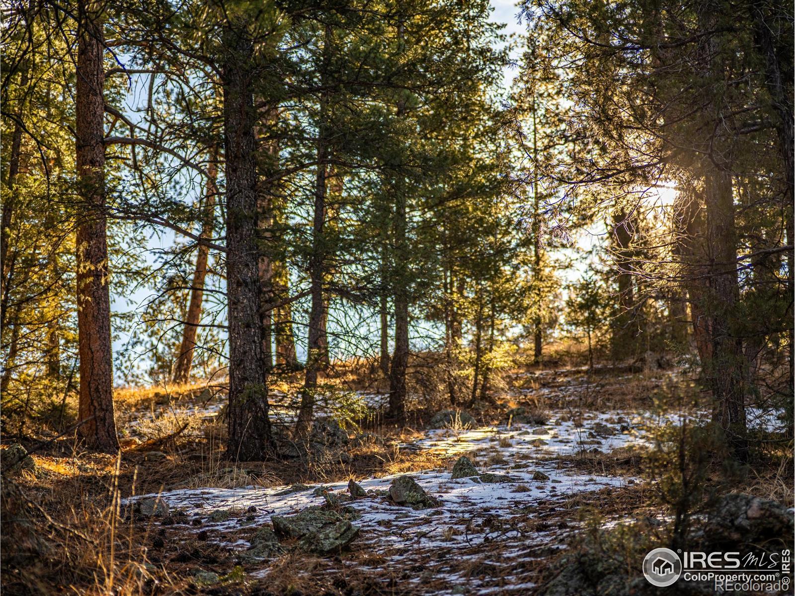MLS Image #27 for 2127  us highway 34 ,drake, Colorado