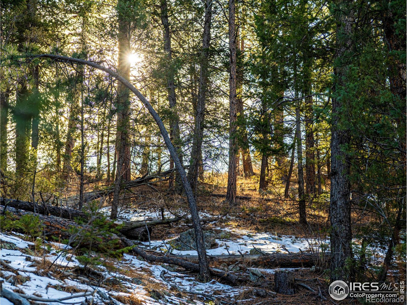 MLS Image #29 for 2127  us highway 34 ,drake, Colorado