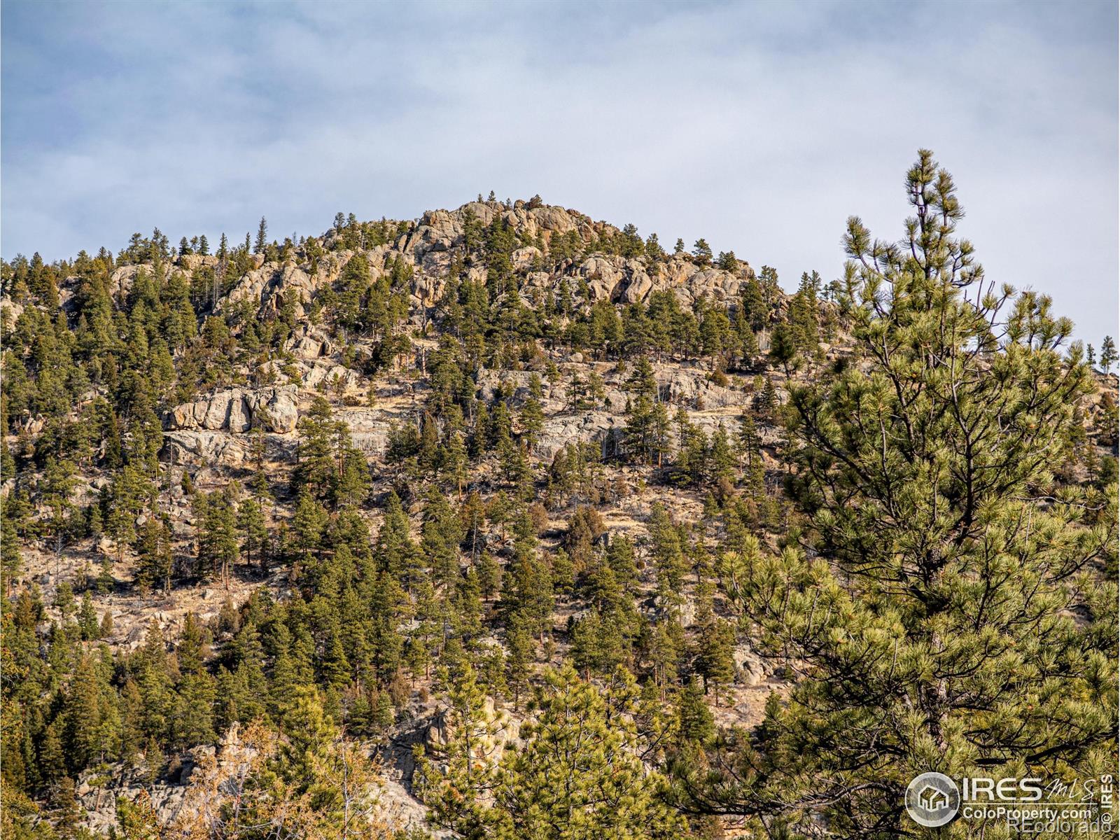 MLS Image #32 for 2127  us highway 34 ,drake, Colorado