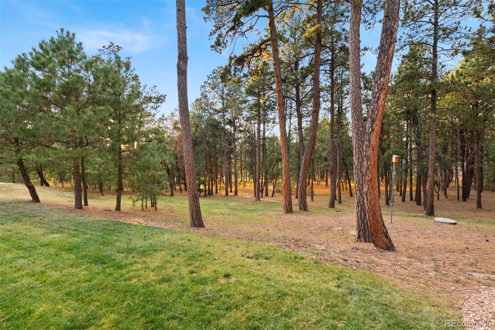 MLS Image #48 for 17507  colonial park drive,monument, Colorado