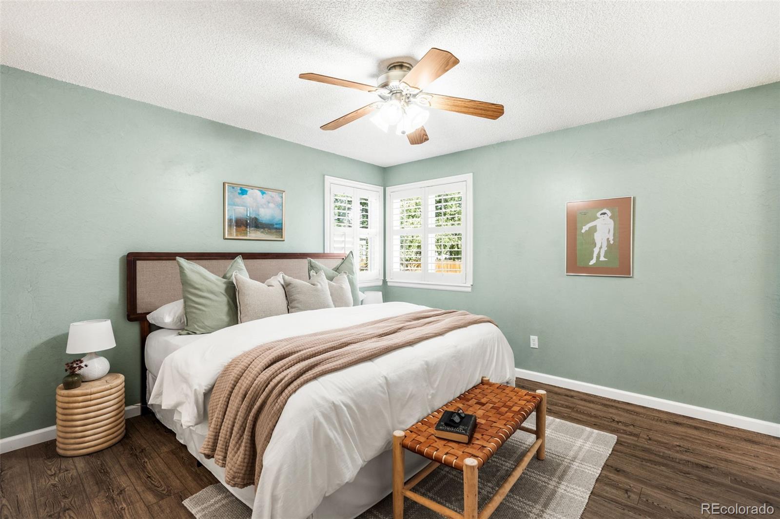 MLS Image #10 for 4581  malaya street,denver, Colorado