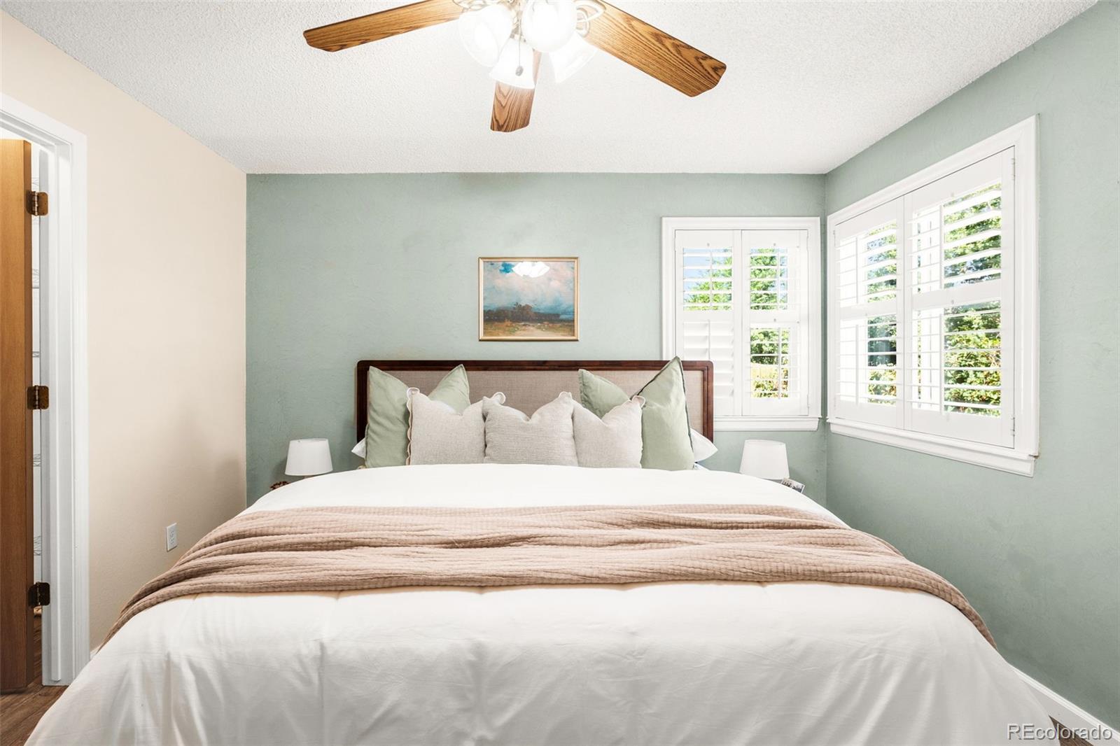 MLS Image #12 for 4581  malaya street,denver, Colorado