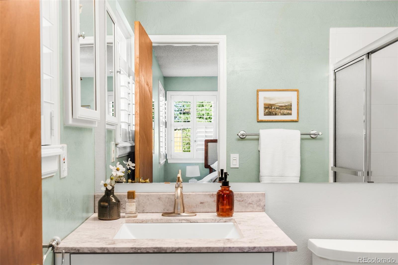 MLS Image #13 for 4581  malaya street,denver, Colorado