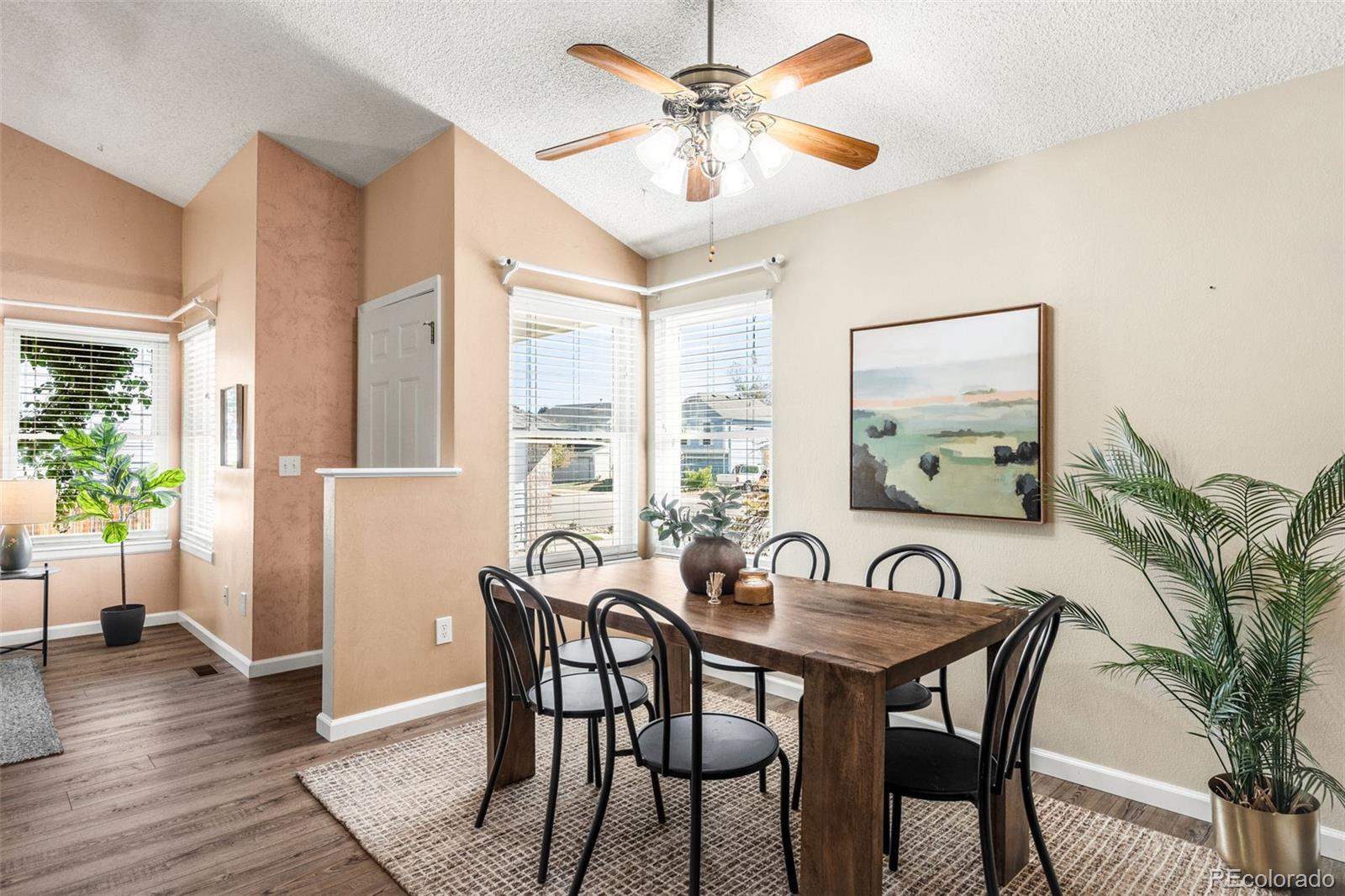 MLS Image #8 for 4581  malaya street,denver, Colorado