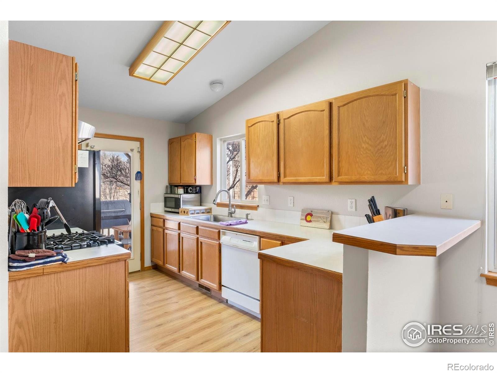 MLS Image #10 for 1225  baker street,longmont, Colorado