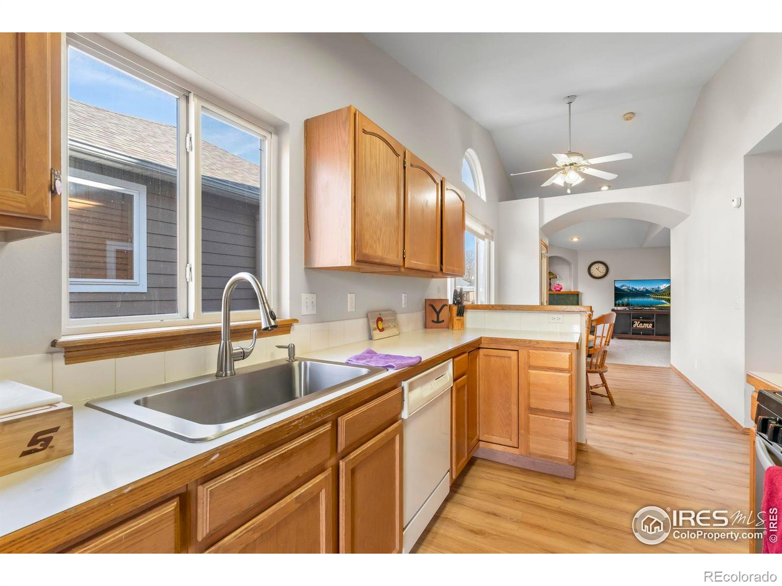 MLS Image #14 for 1225  baker street,longmont, Colorado