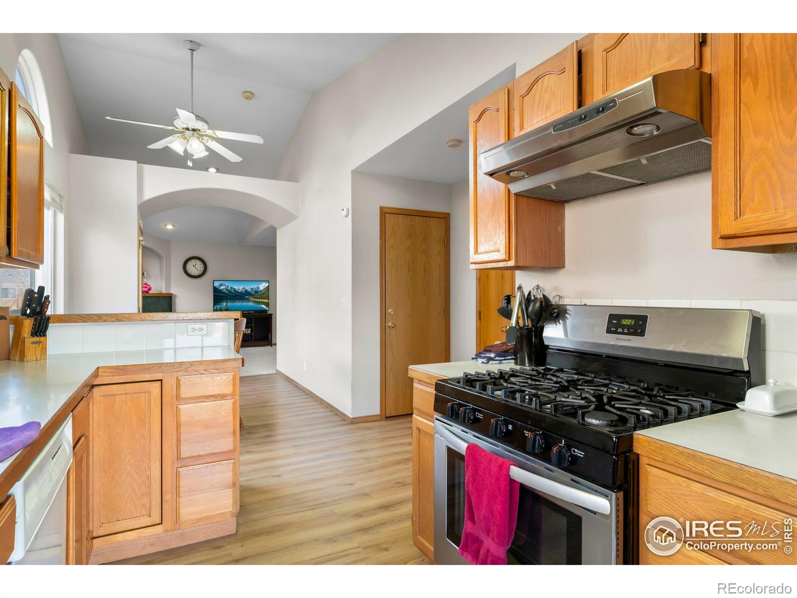 MLS Image #15 for 1225  baker street,longmont, Colorado