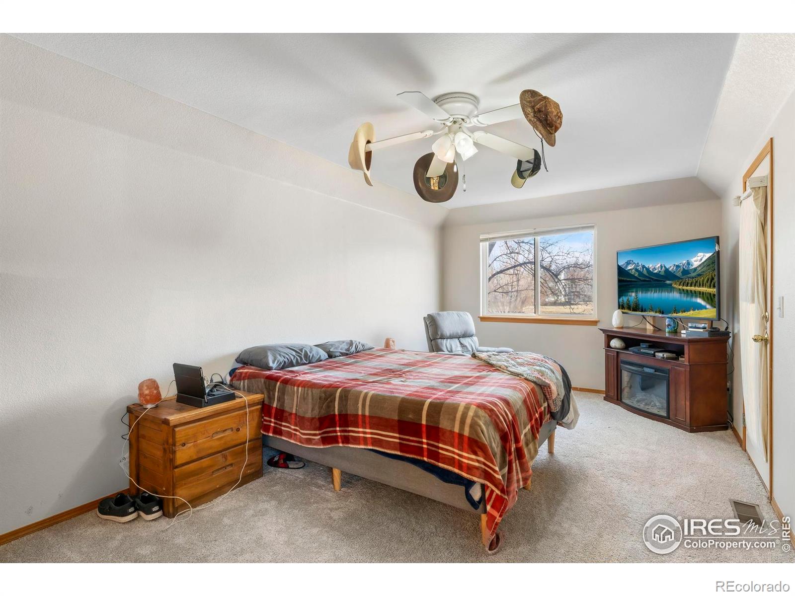 MLS Image #19 for 1225  baker street,longmont, Colorado