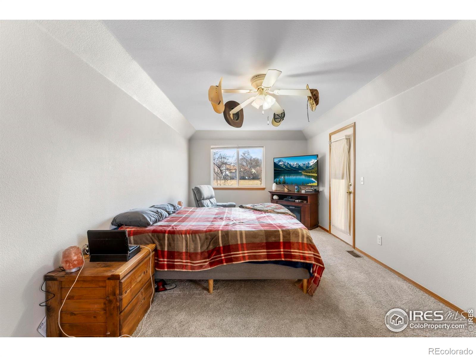 MLS Image #20 for 1225  baker street,longmont, Colorado