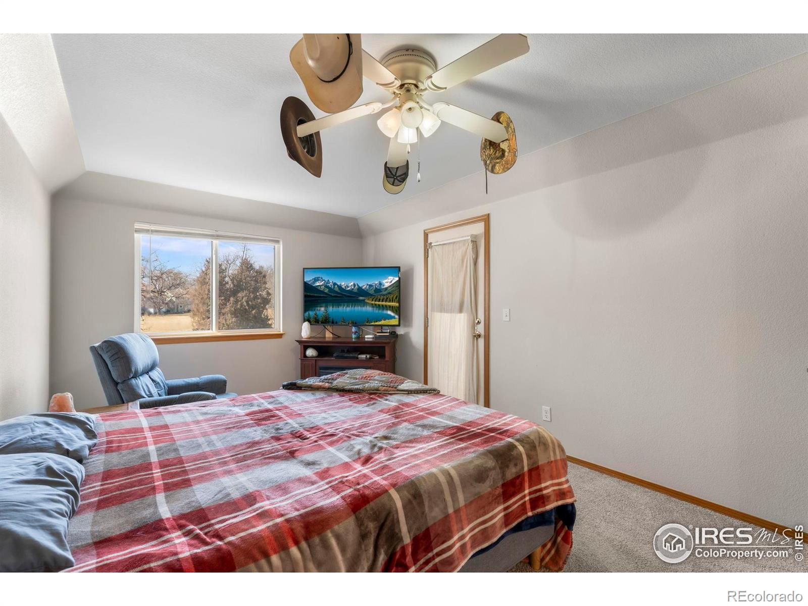 MLS Image #23 for 1225  baker street,longmont, Colorado