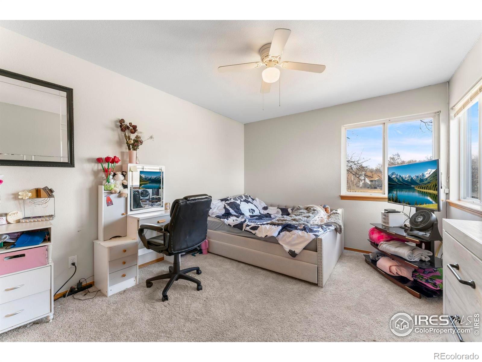 MLS Image #27 for 1225  baker street,longmont, Colorado