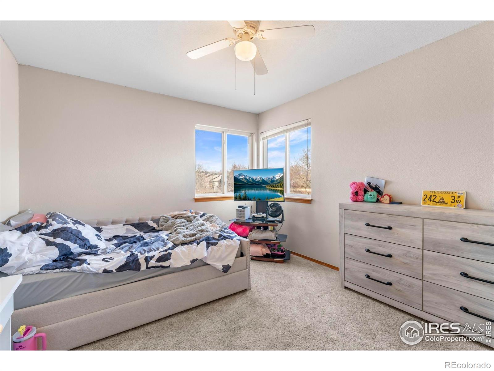 MLS Image #28 for 1225  baker street,longmont, Colorado