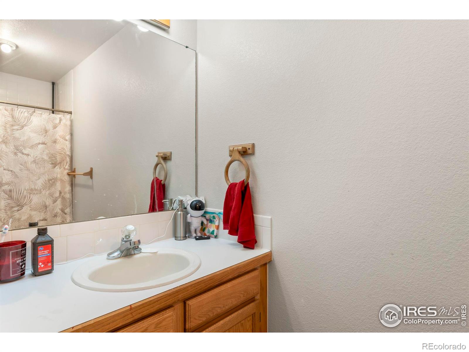 MLS Image #29 for 1225  baker street,longmont, Colorado