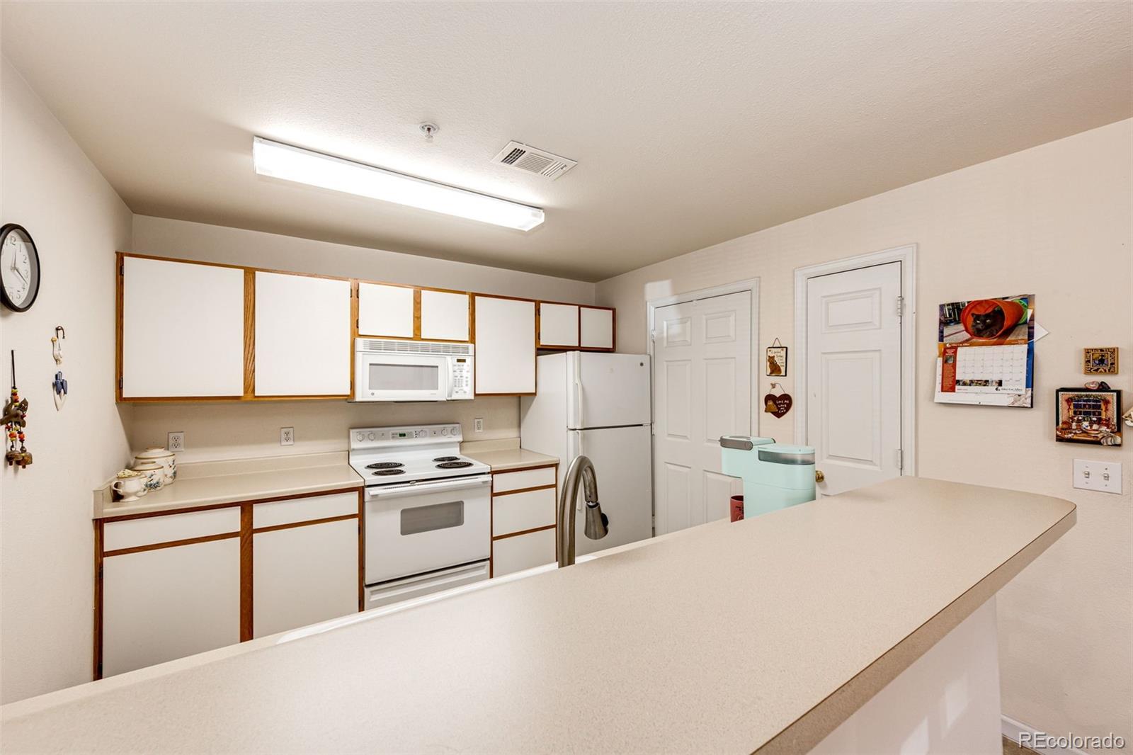 MLS Image #19 for 12820  ironstone way,parker, Colorado