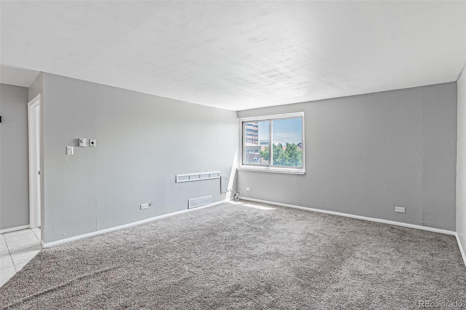 MLS Image #10 for 1366  garfield street,denver, Colorado