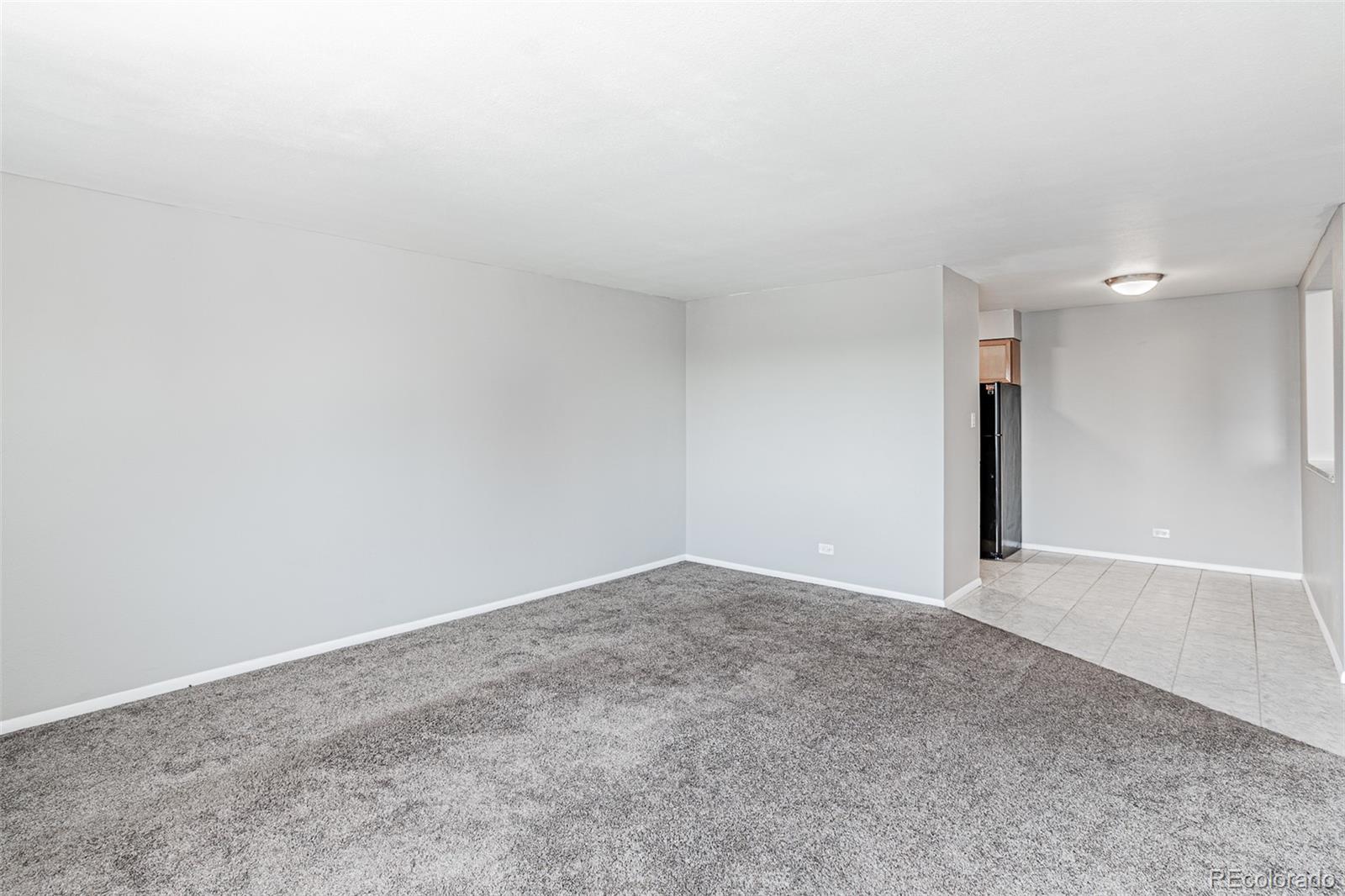 MLS Image #12 for 1366  garfield street,denver, Colorado