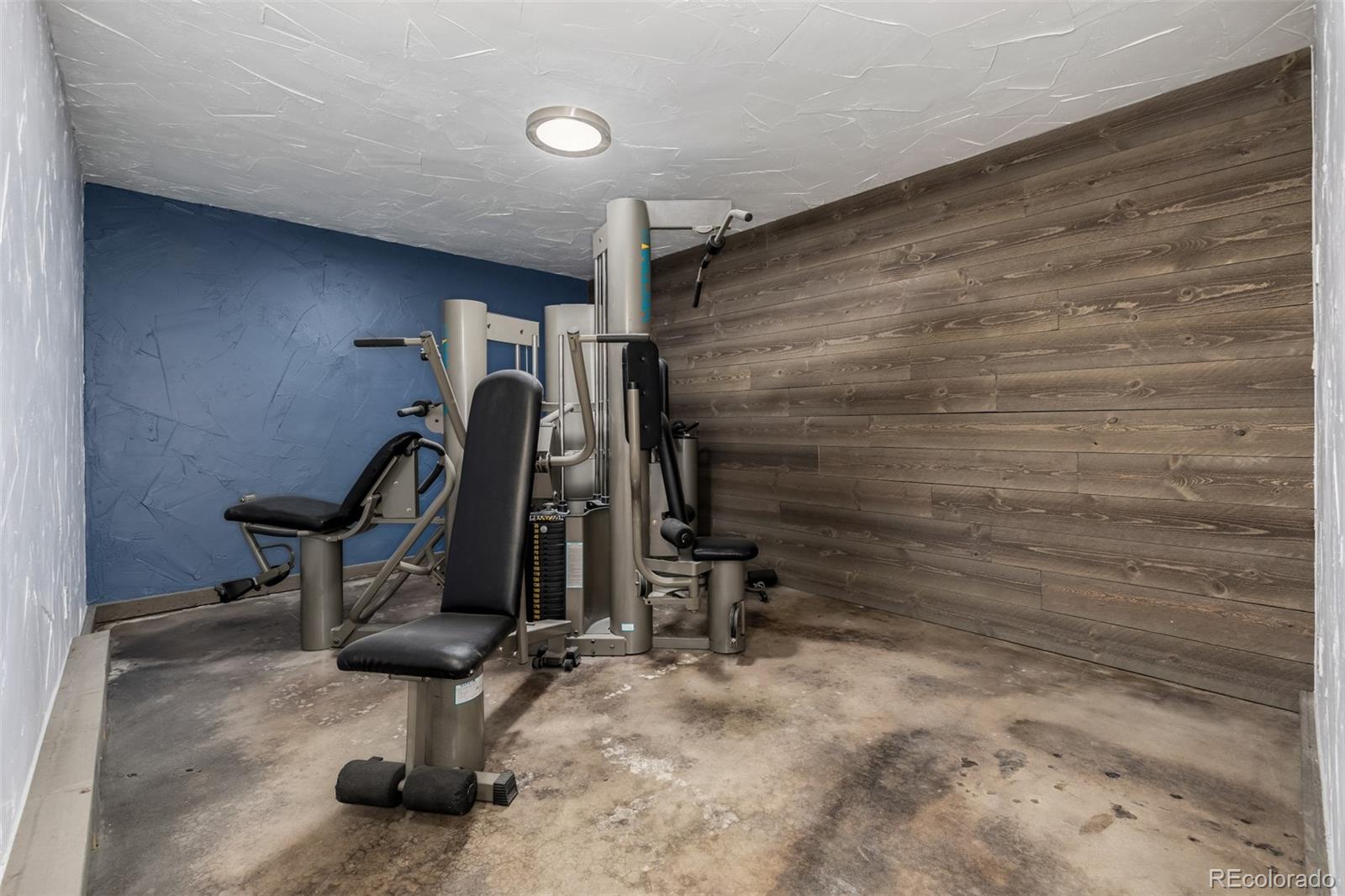 MLS Image #14 for 54  zaza lane,evergreen, Colorado