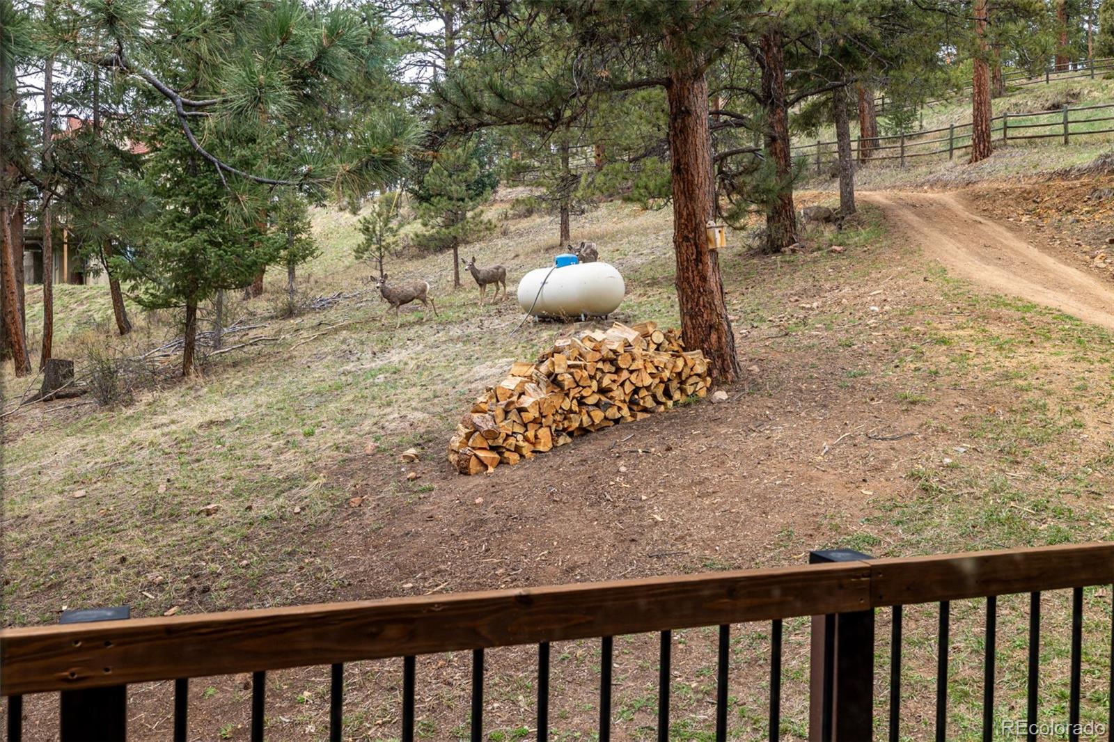 MLS Image #25 for 54  zaza lane,evergreen, Colorado